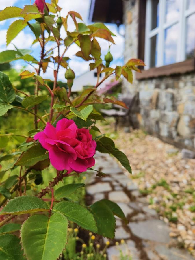 Ferienhaus Eifelrose Simmerath Eksteriør billede